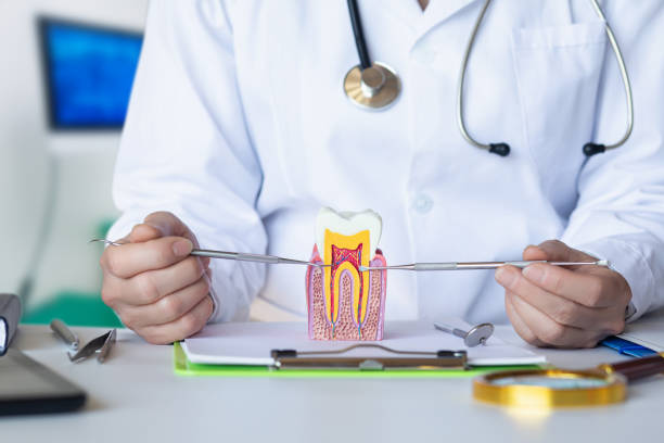 Best Emergency Dental Services for Seniors in Briar, TX